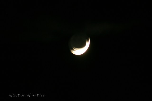 venus and moon ecilpse