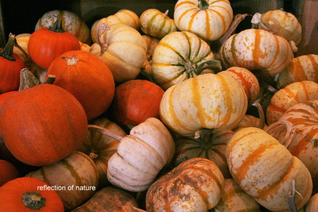 Happy #Halloween!