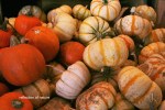 pumpkins