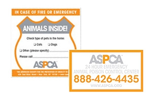 Pet Disaster Preparedness