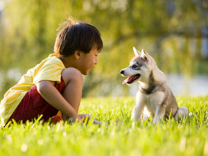 Introducing kids to a new&nbsp;puppy