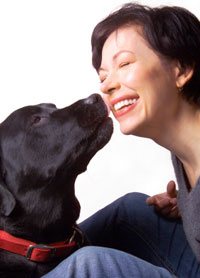 Training Your Pet Through the Life&nbsp;Stages