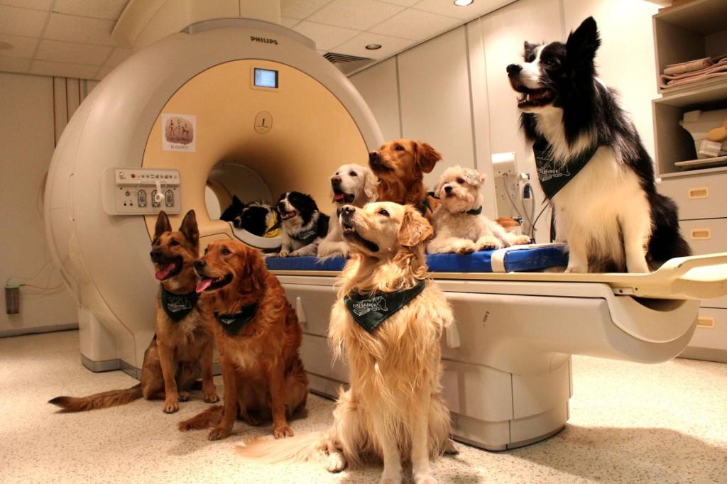 Your #Dog Knows Exactly What You’re Saying