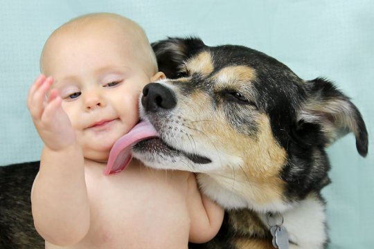 #Petexposure may reduce #allergy and&nbsp;#obesity